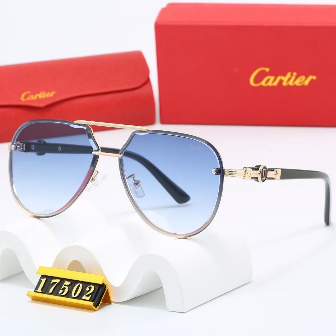 Vanguard Aviator Sunglasses