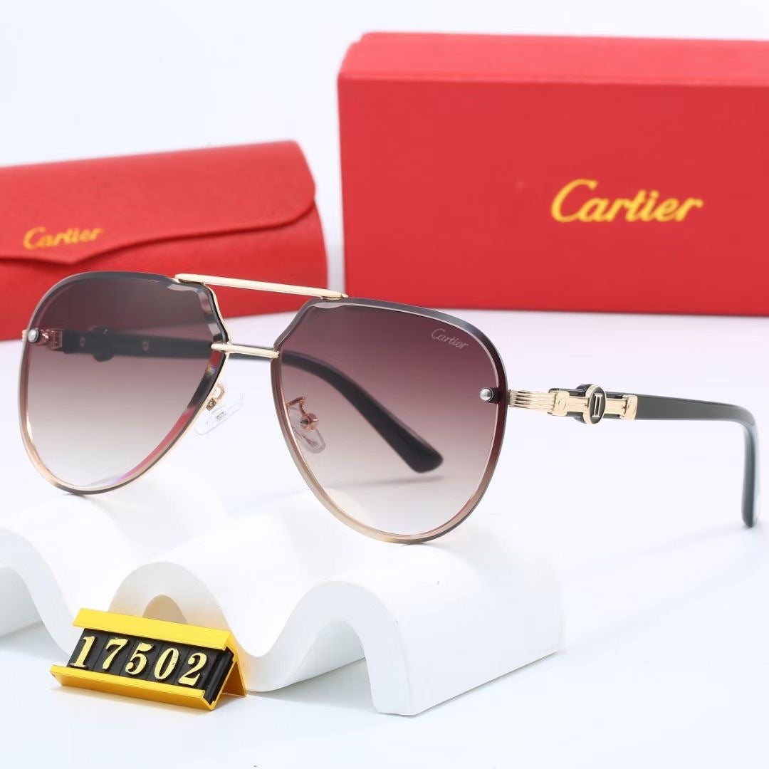 Vanguard Aviator Sunglasses